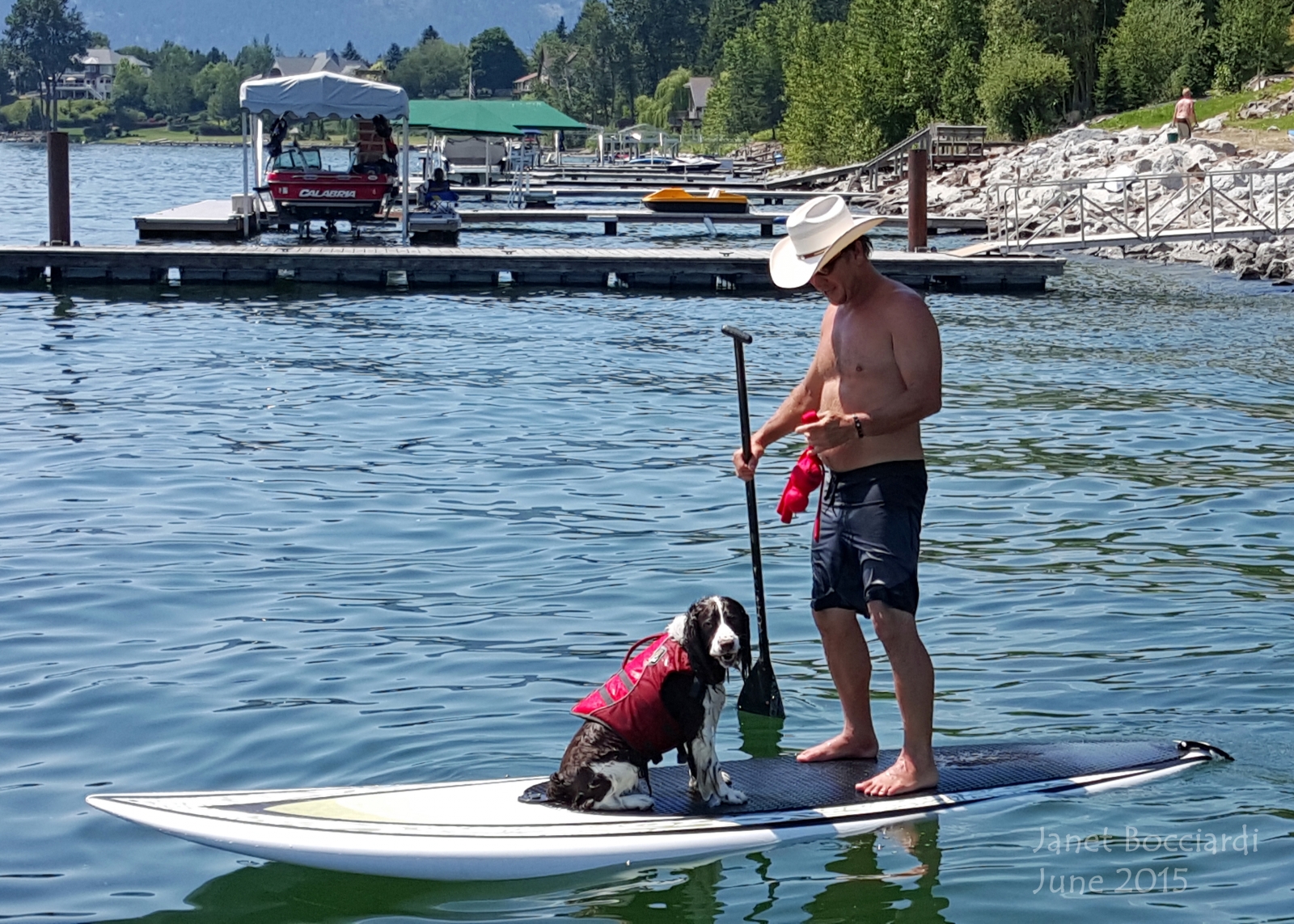 Springer Spaniel learns to paddeboard