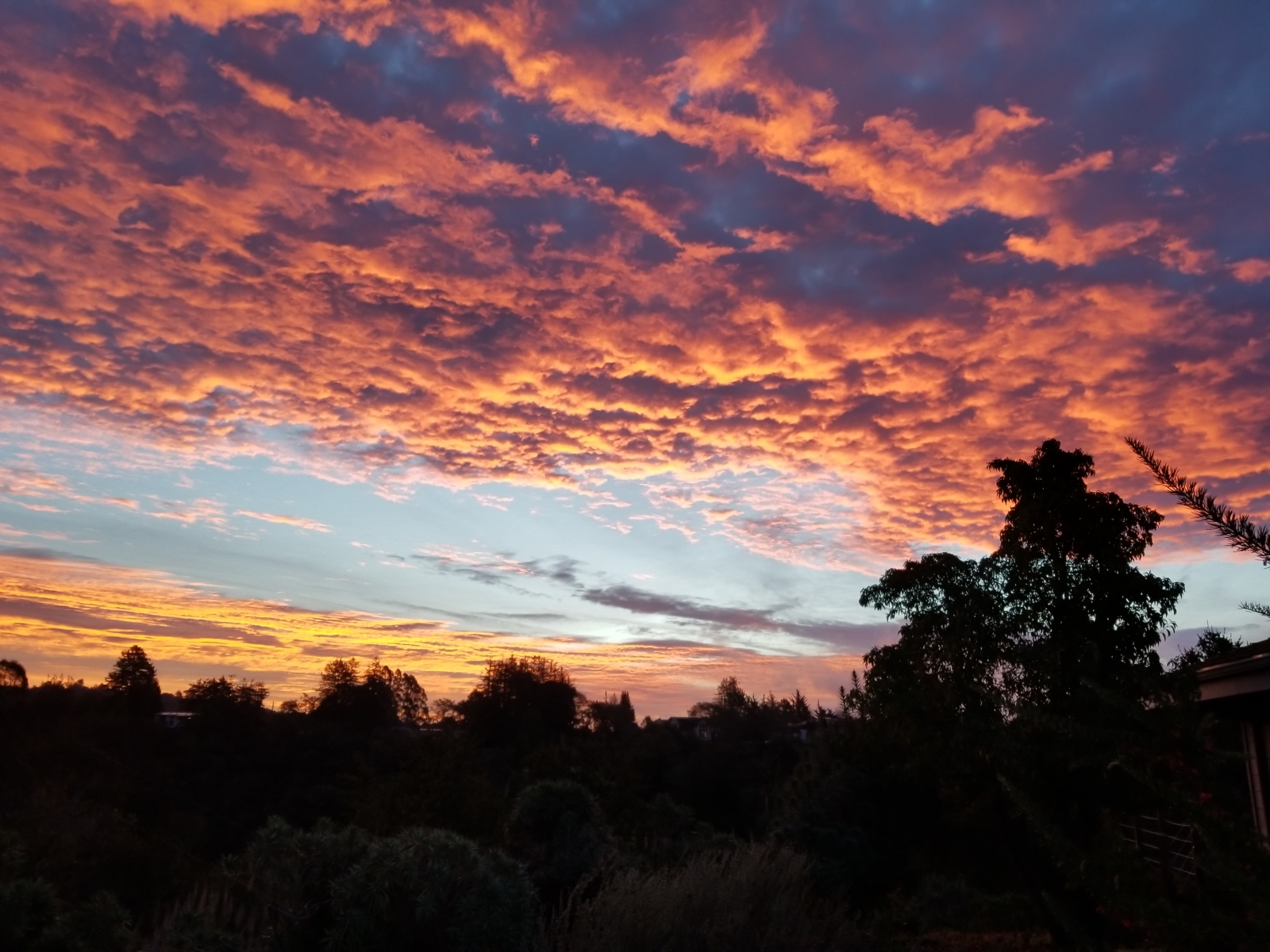 Red Sky Sunrise