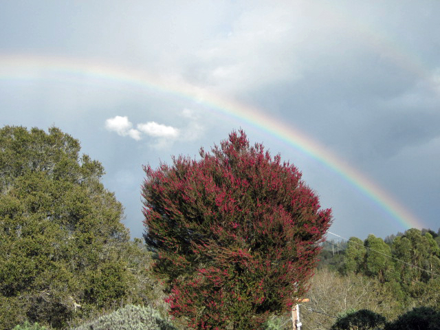 Double Rainbow, Jan 2013