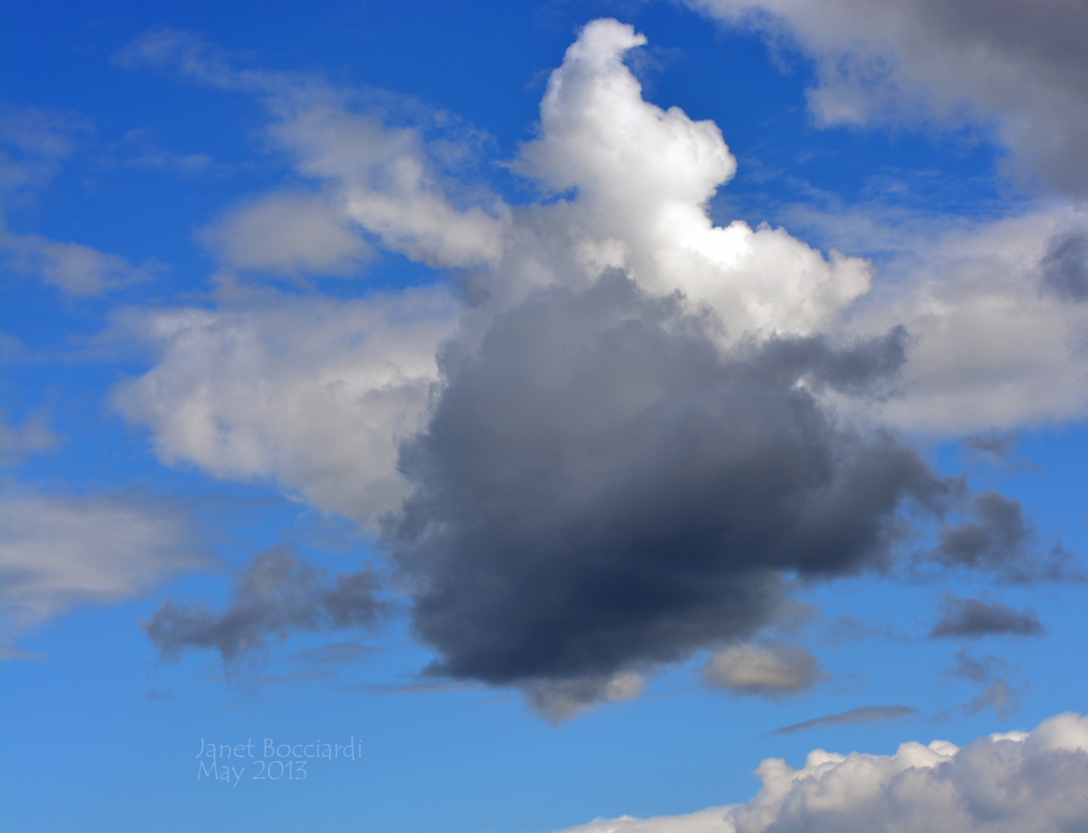 Elephant and Flying Baby cloud