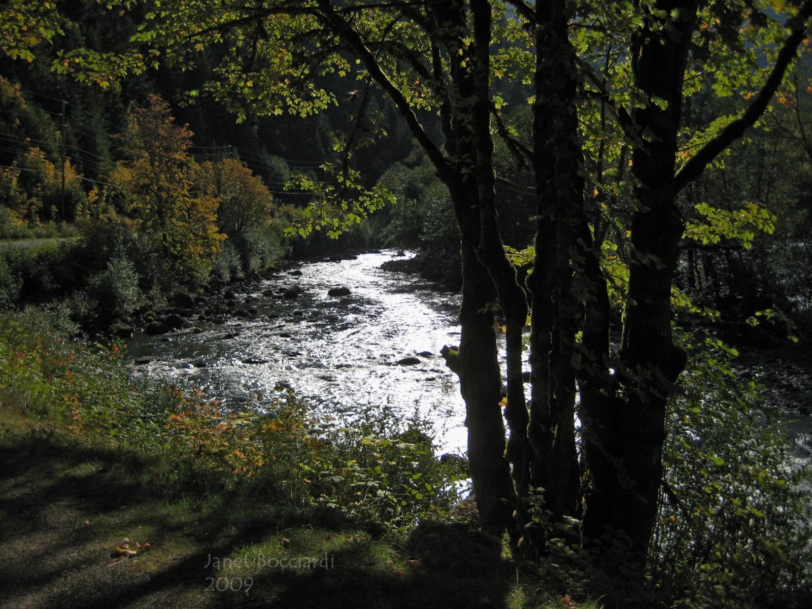 Elwha River between the dams 2009