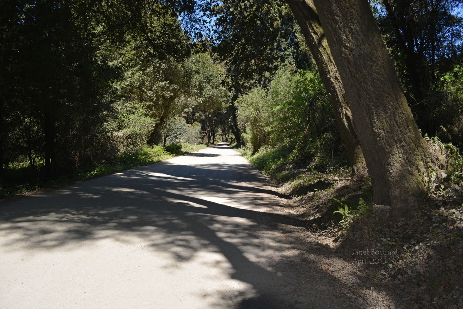 Entrance to Niscene Marks State Park