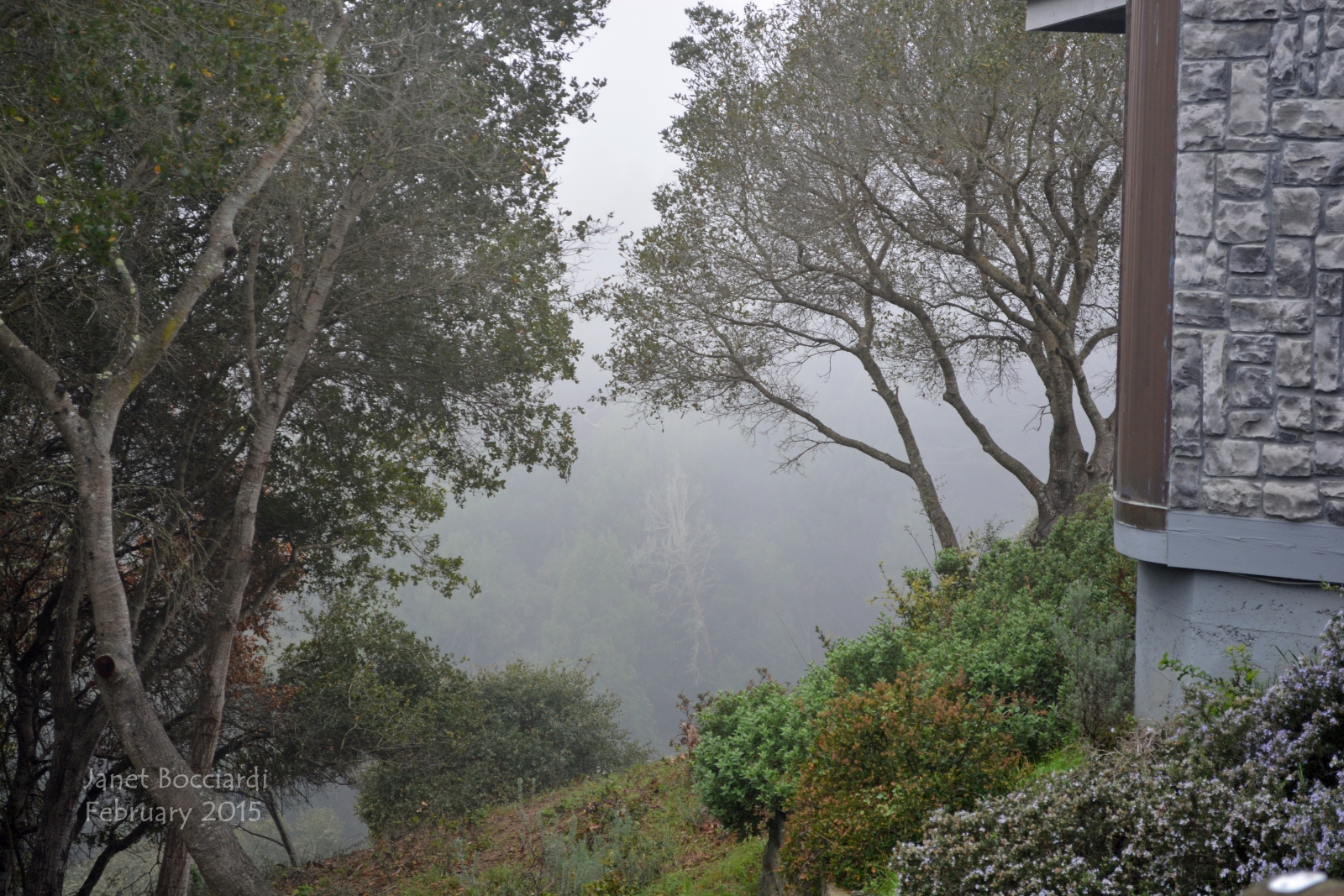 Foggy California morning