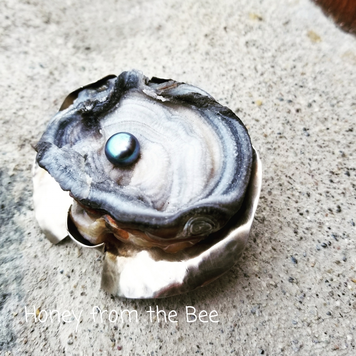 Oyster Silver Brooch