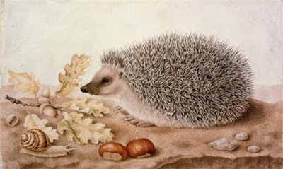 A Hedgehog in a Landscape by Giovanna Garzoni