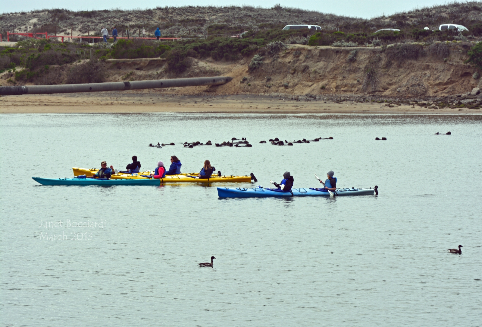 Kayaks out looking at otters at Moss Landing.