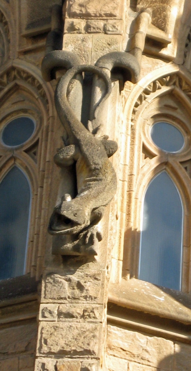 Lizard, La Sagrada Familia, Barcelona, Spain