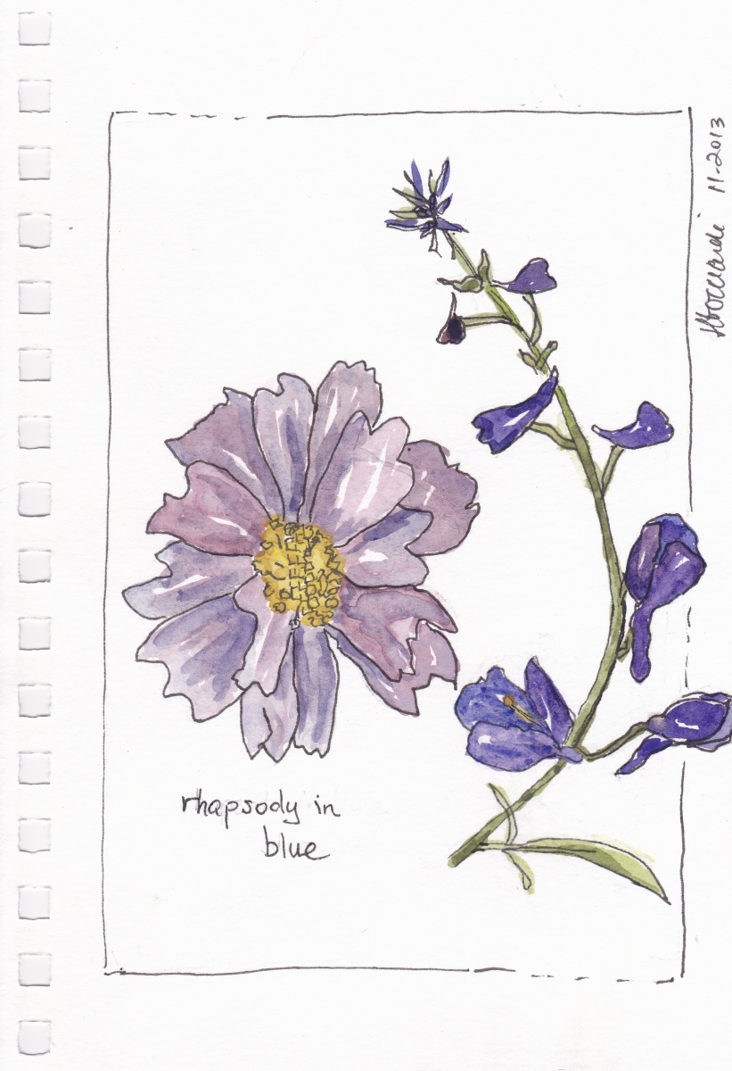Sketch of blue flowers by Janet Bocciardi