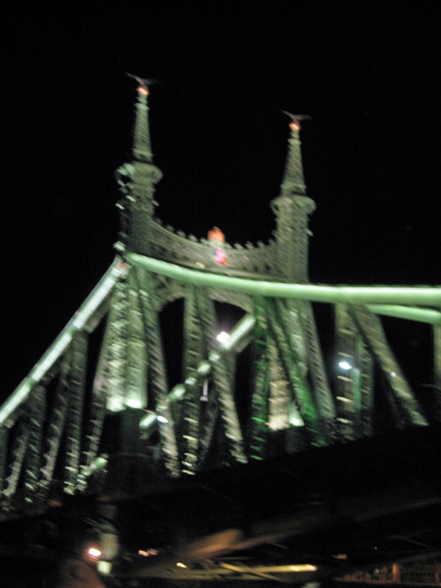 Liberty Bridge, Budapest, Hungary