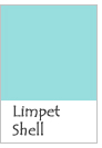 Limpet Shell 2016 color