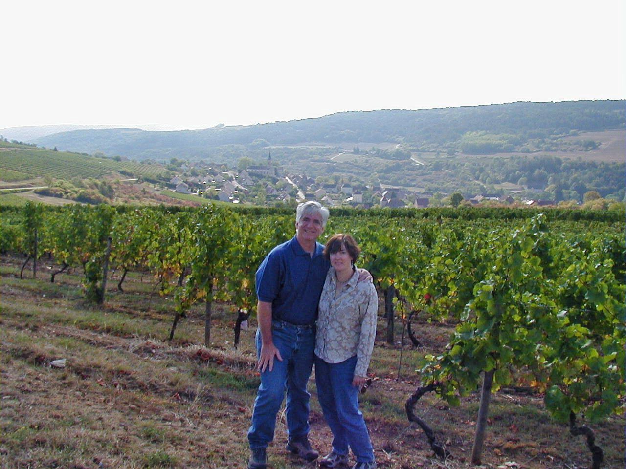 Vineyards near Dijon