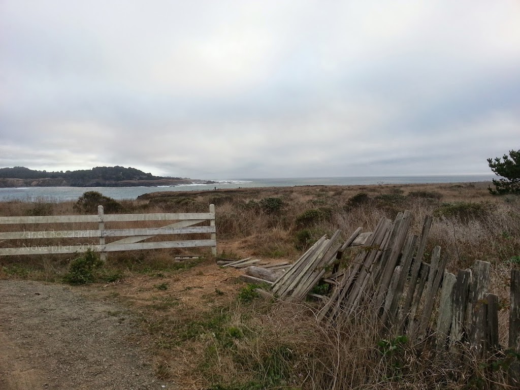 Mendocino coast