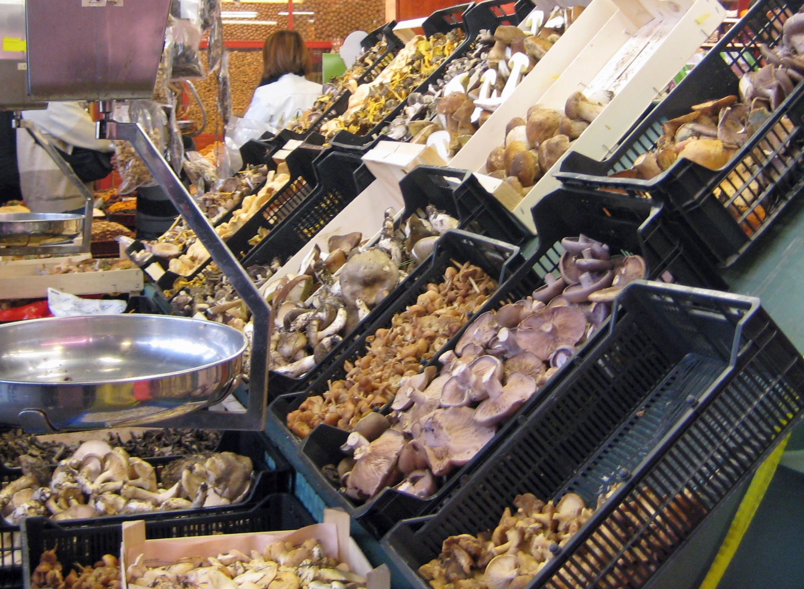 Mushrooms and more, Farmer's Market, Barcelona, Spain