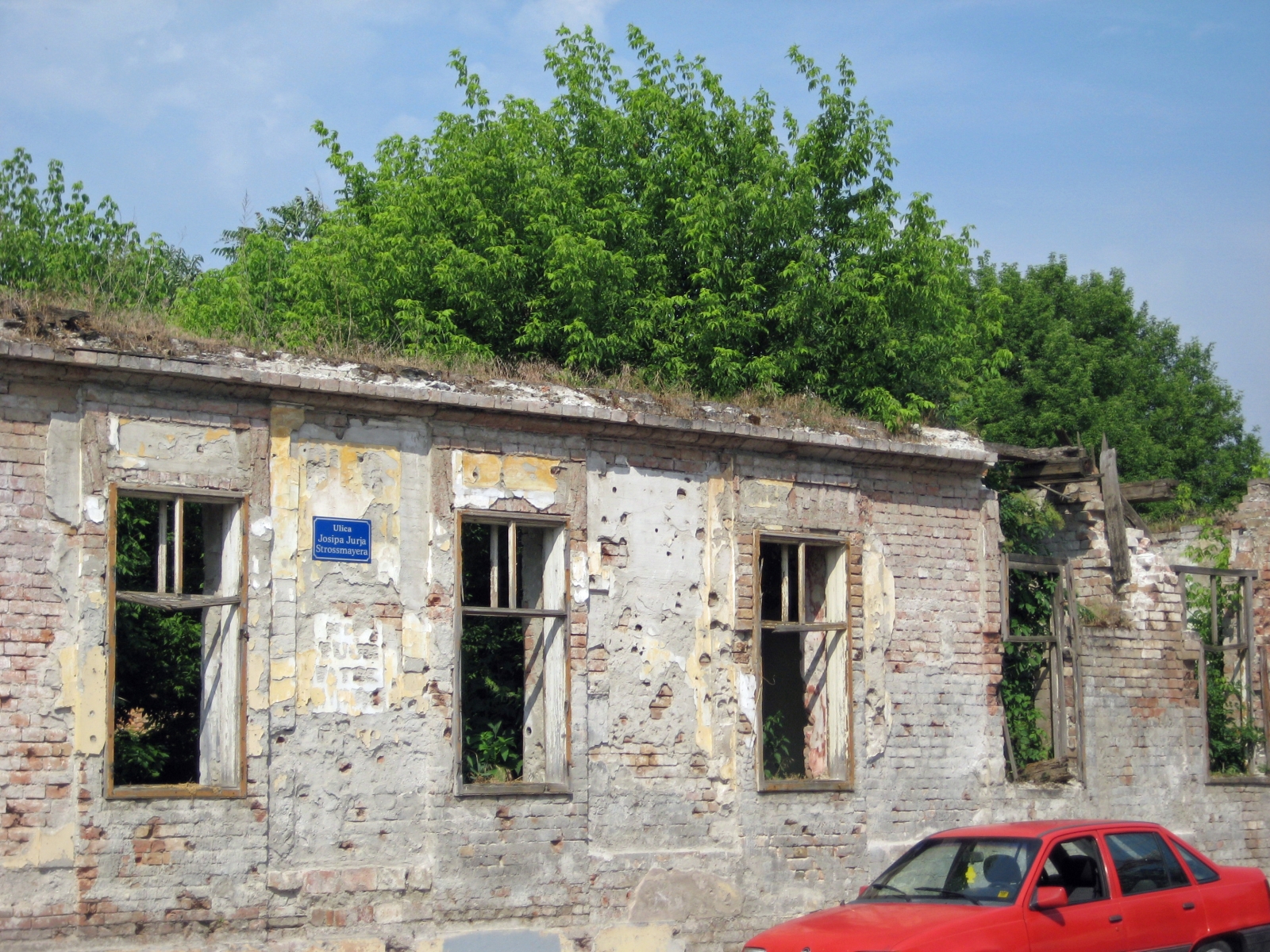 Nature taking over a bombed out building, Vukovar, Croatia