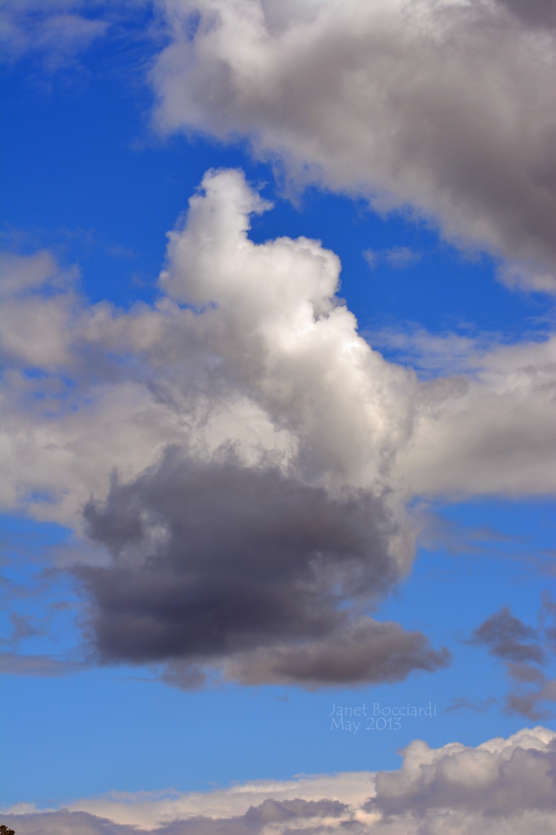 Rhinoceros Cloud