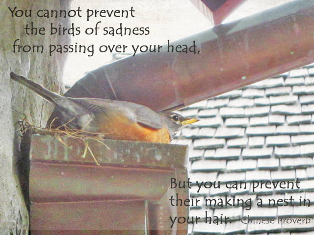 Robin photo with quote