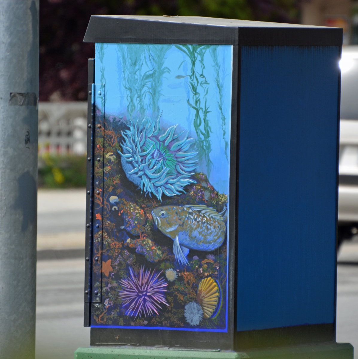 Sea Anemone painted utility box