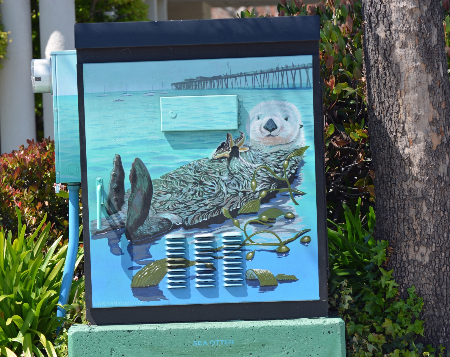 Sea otter painted utility box