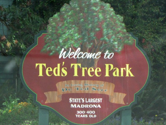 Ted's Tree Park, Port Angeles, Washington