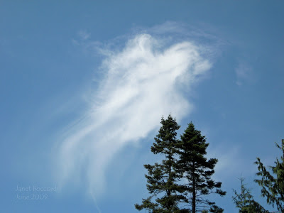 Winged Angel cloud