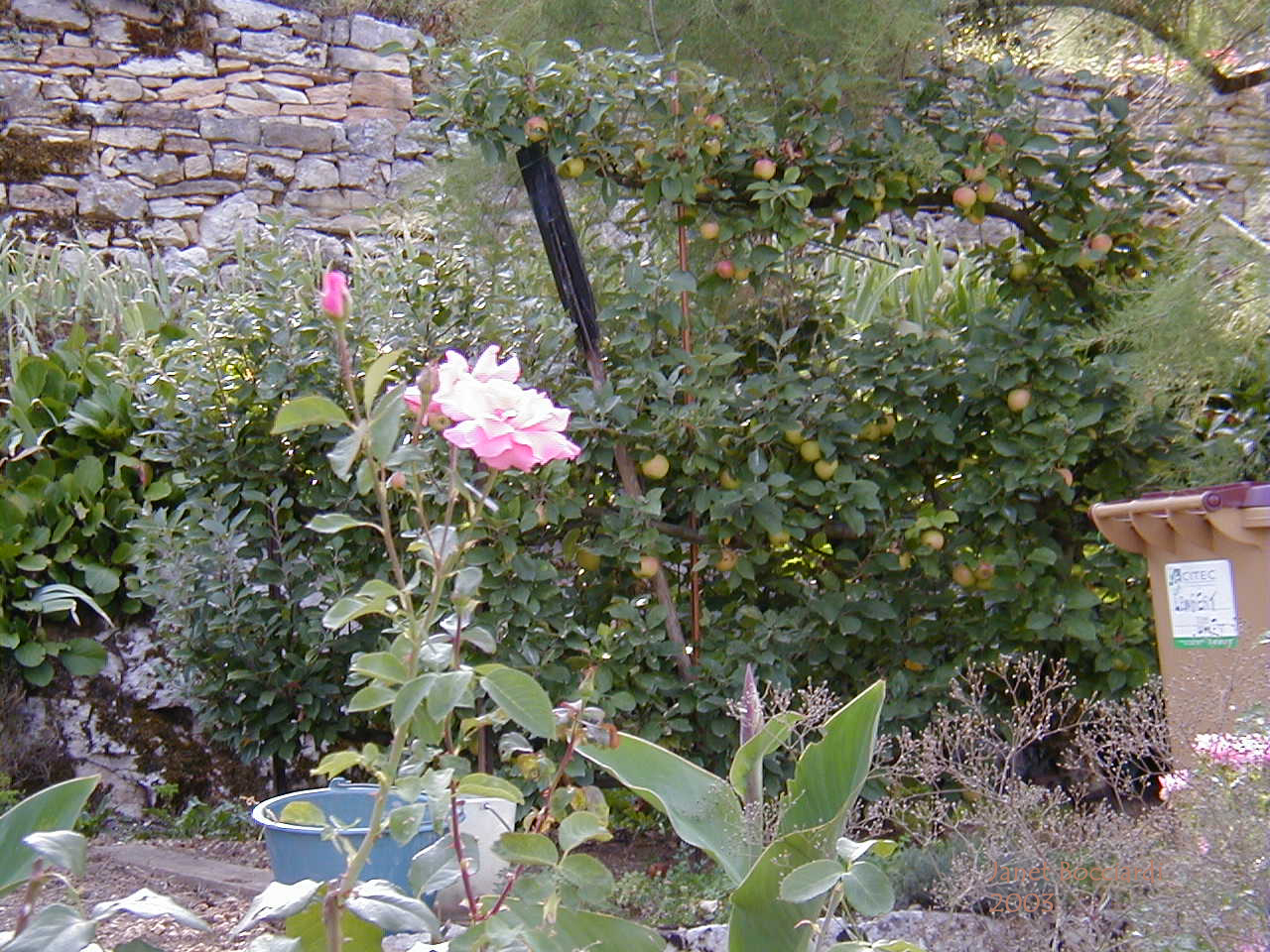 House garden along Canal de Bourgogne