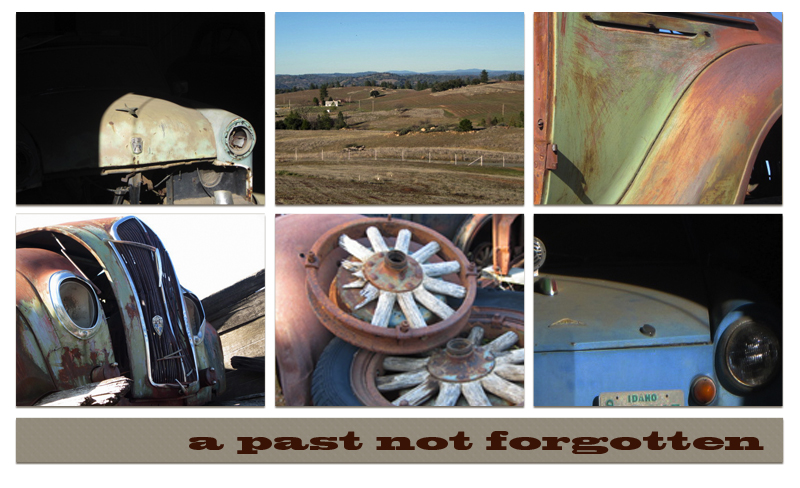 Amador County wine country photo collage