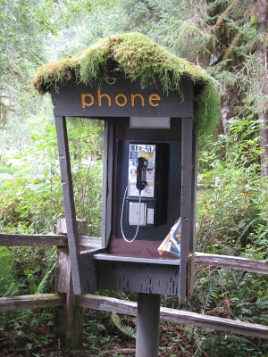 Phone booth at Hoh Rain Forest