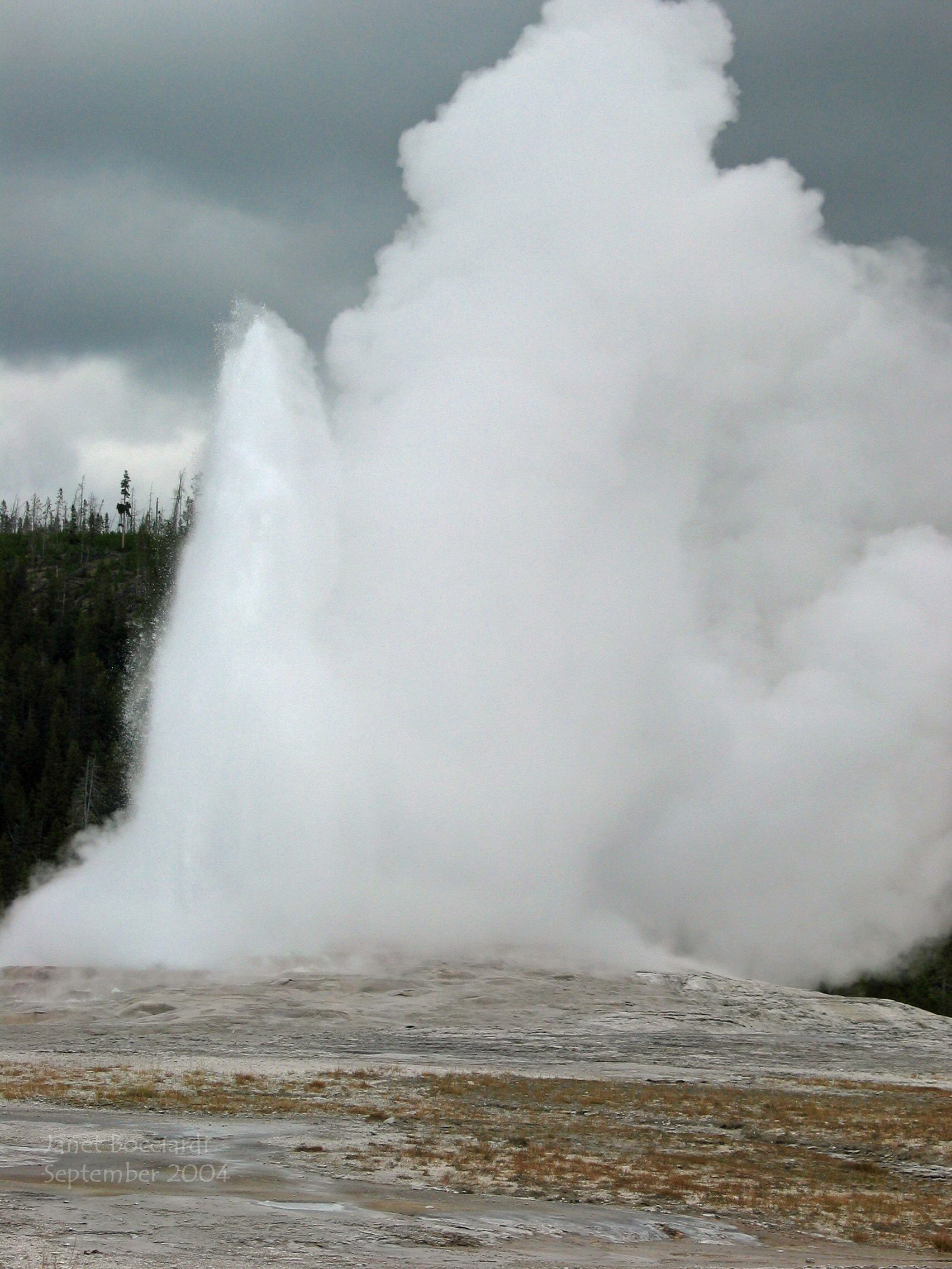 Old Faithful Yellowstone