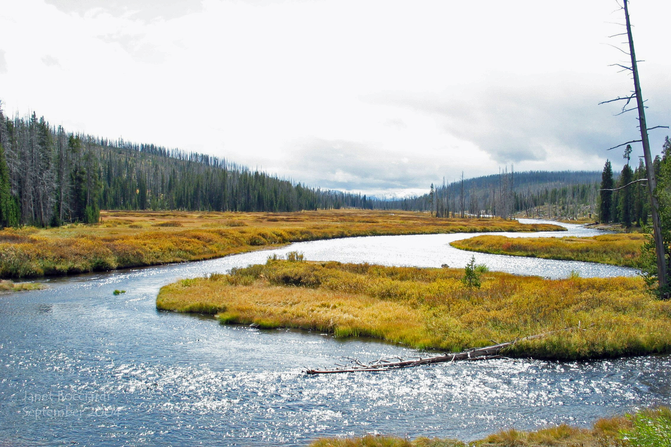 Yellowstone River 2004