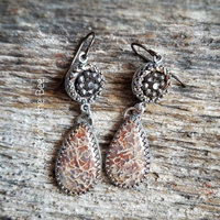 Fossilized Dinosaur bone earrings