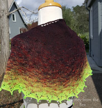 Burgundy and chartreuse shawl