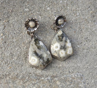 White and Green Ocean Jasper Earrings