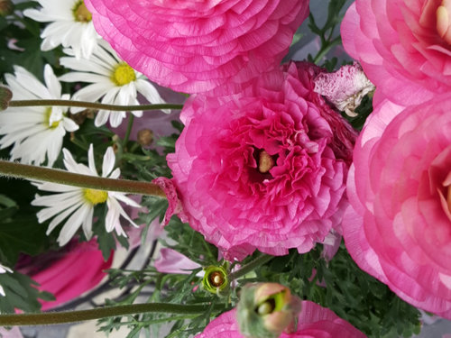 Inspiration flowers